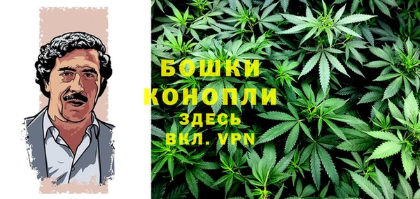 индика Белоозёрский
