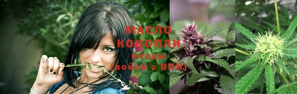 индика Белоозёрский