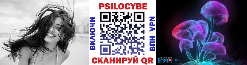 Галлюциногенные грибы прущие грибы  Клинцы 