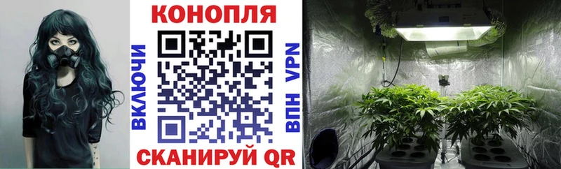 как найти закладки  Клинцы  Конопля LSD WEED 